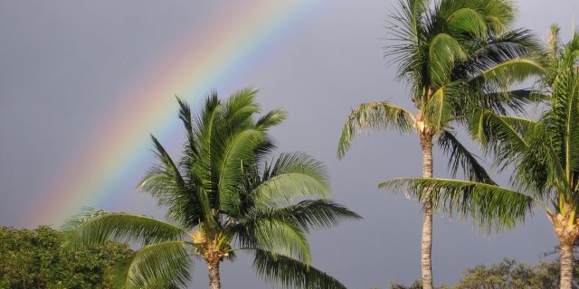 A rainbow in Maui